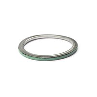 Exhaust Gasket