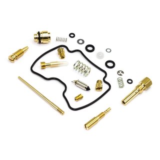 Carburetor Repair Kit CAB-DS14