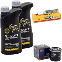 Maintenance package oil 2 liters + oil filter + spark plug