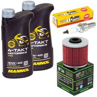 Maintenance package oil 2 liters + oil filter + spark plug